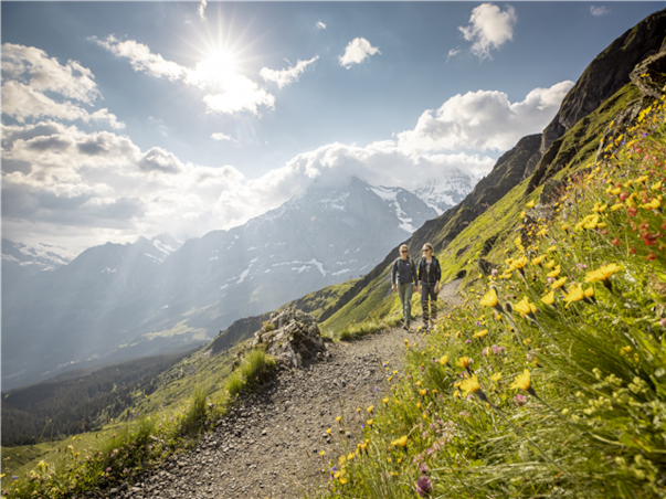 스위스 일주 9일＜NO쇼핑/관광열차/융프라우/리기산/알자스지방 와이너리＞